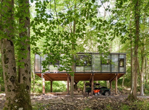 森林中的辦公室裝修也可以很有愛！