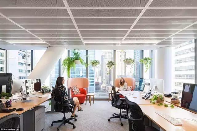 2000m2 像家一樣溫馨的辦公室，看完我心動了